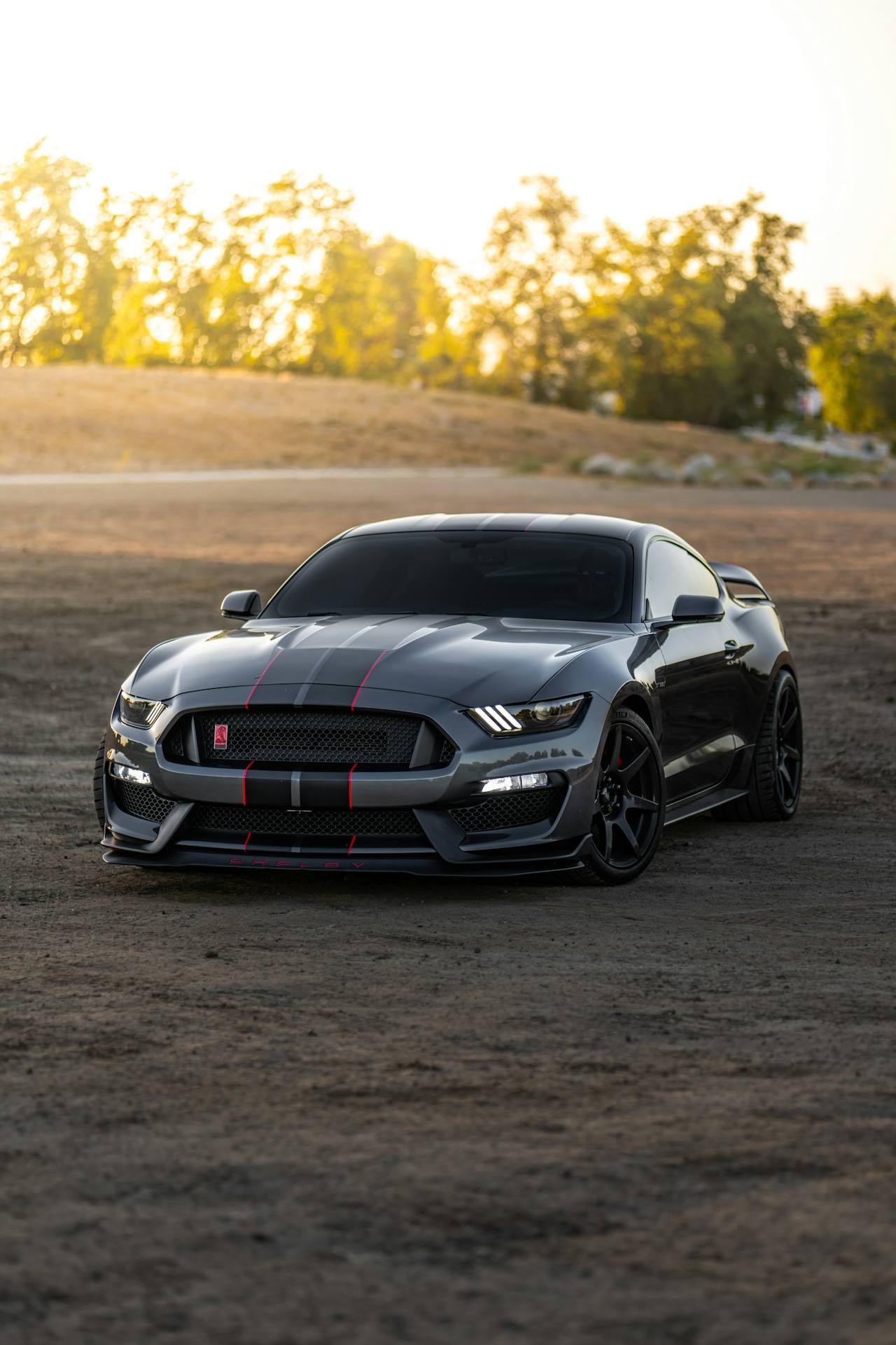Grey coupe with red and black racing stripes
