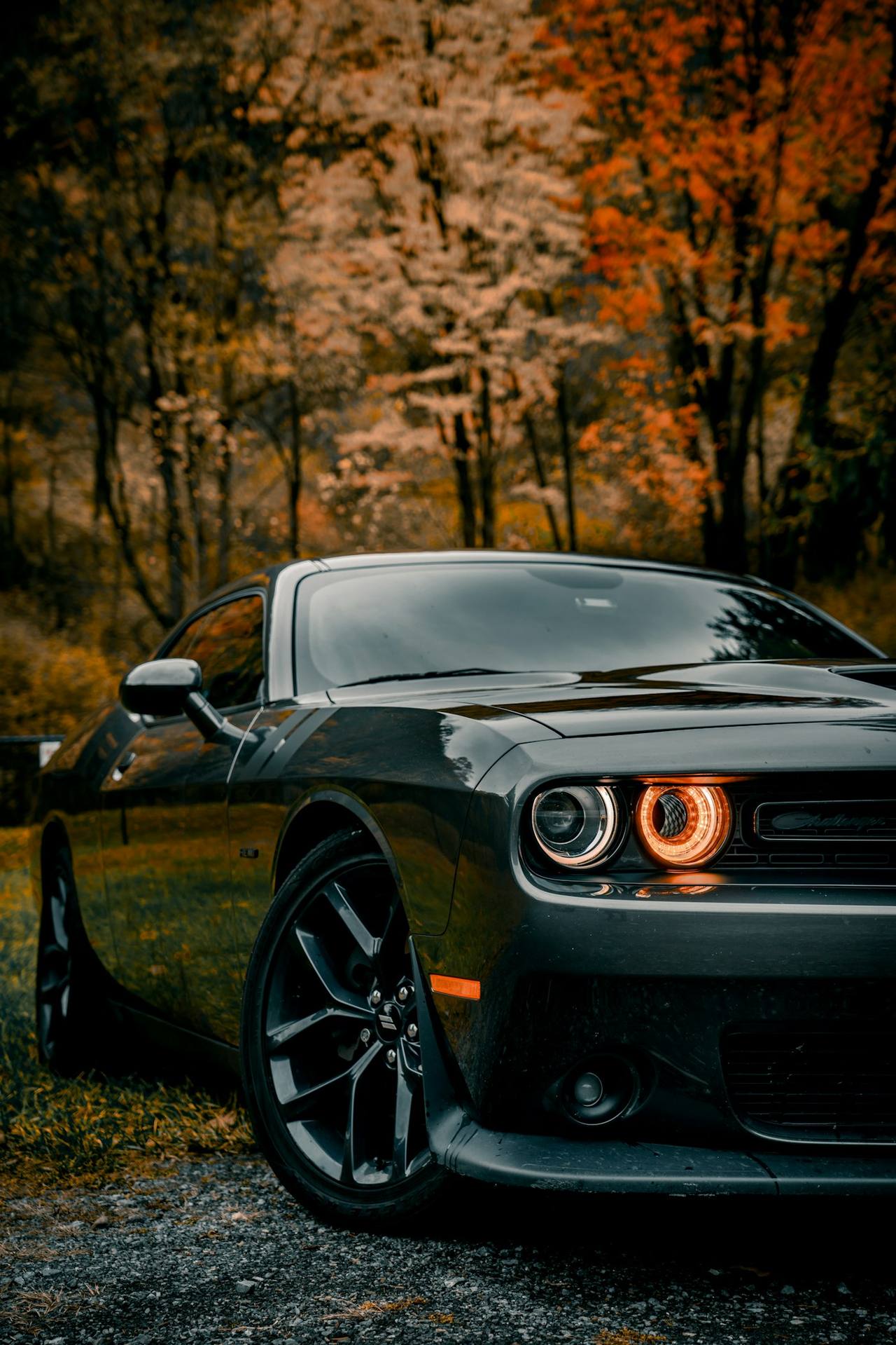 Muscle car with amber halo headlights lit