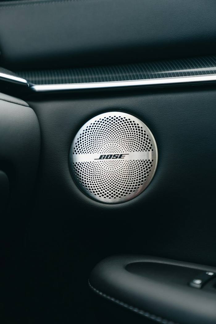 Speaker grille set into a car door panel