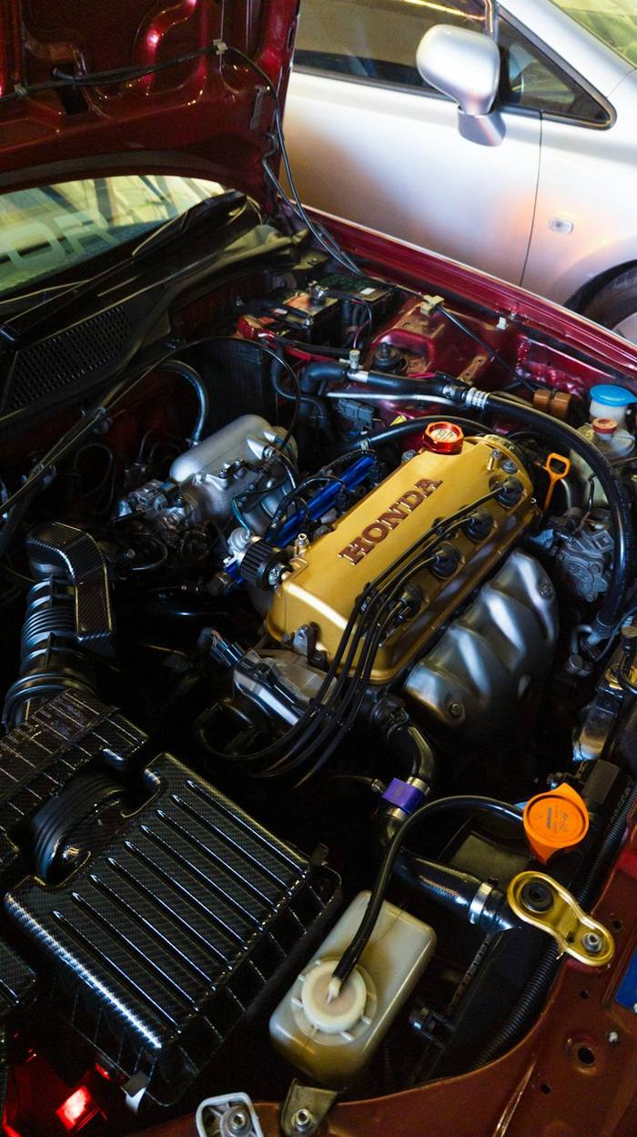 Modified engine bay with a gold valve cover and braided lines